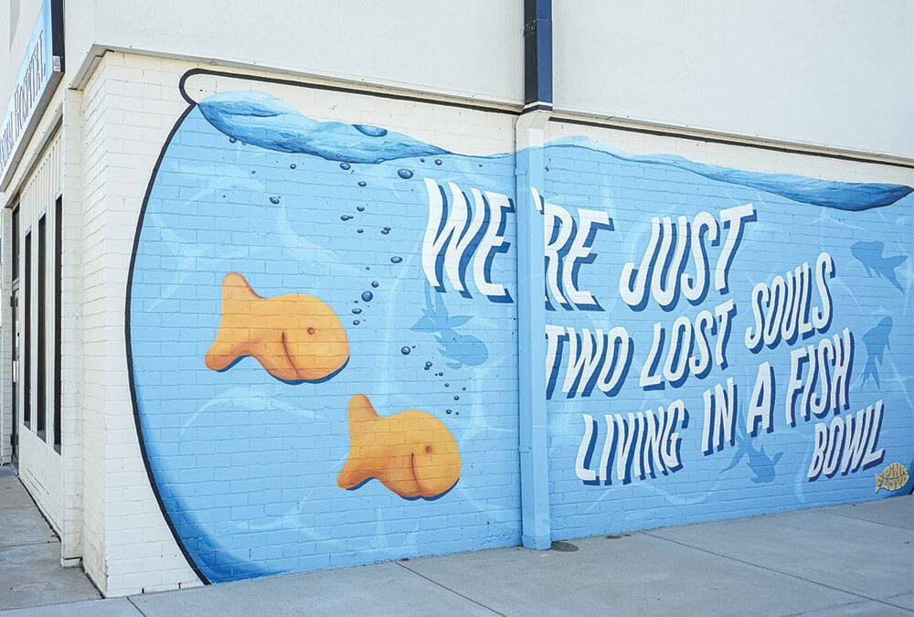 Fish Bowl Mural