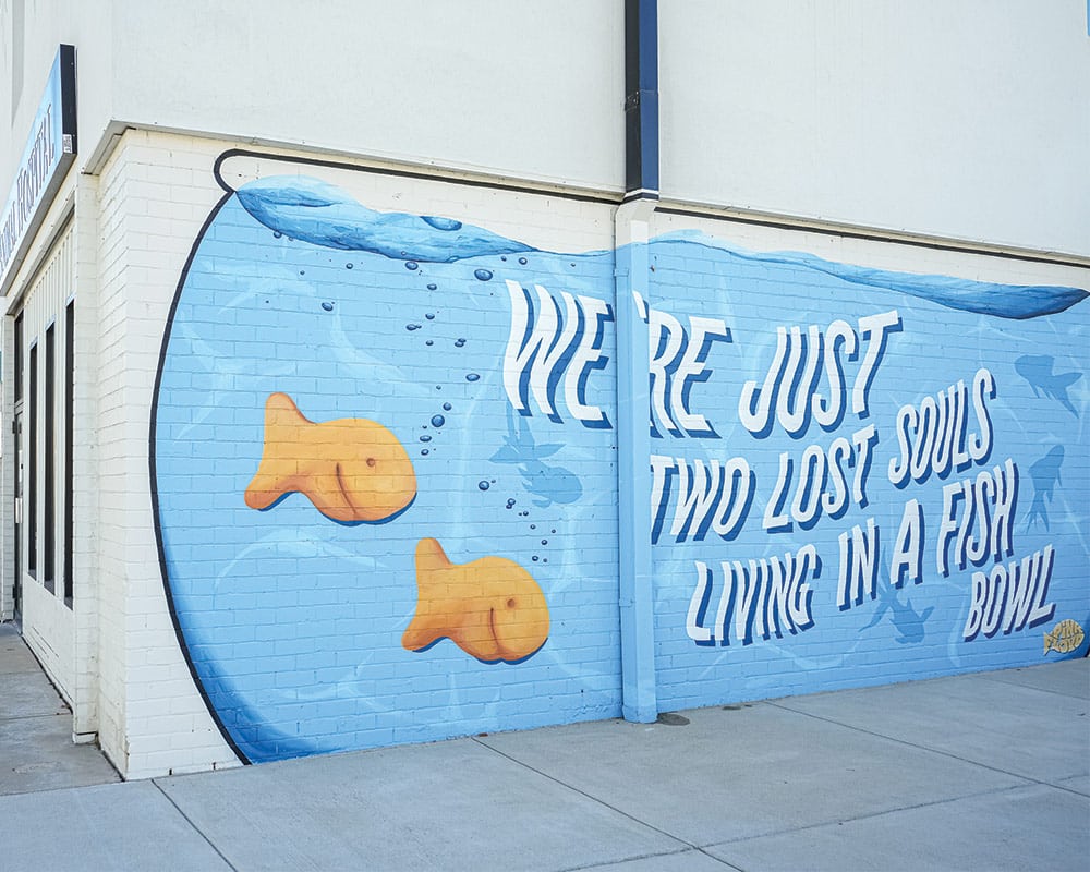 Headline image for Fish Bowl Mural